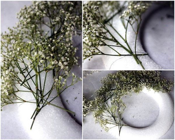 baby's breath wreath1
