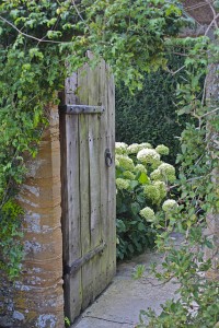secret garden 2
