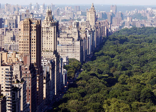 ny 1