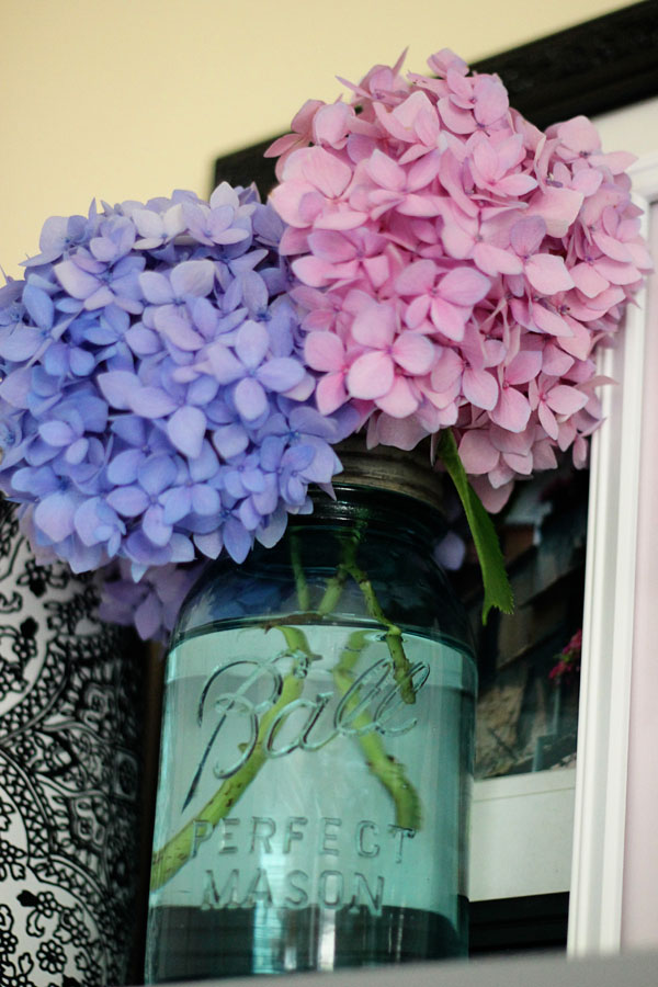 kitchen shelf details