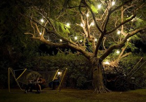 magical tree