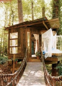 tree house