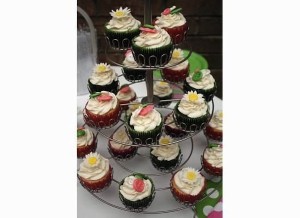 Harper cupcakes