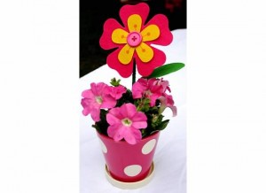 Harper flower