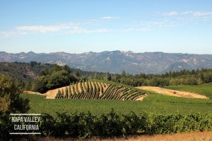 napa