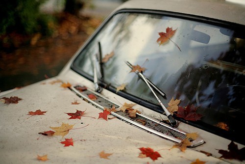 fall car