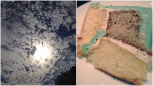 Blog pics163