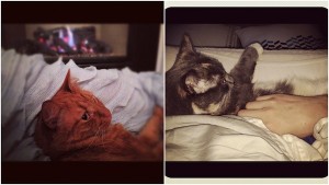 Blog pics165