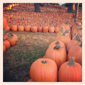 Colleen instagram 1