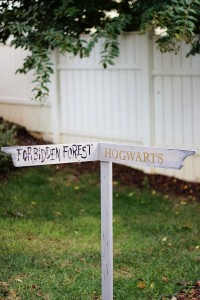 Harry Potter Directional Sign