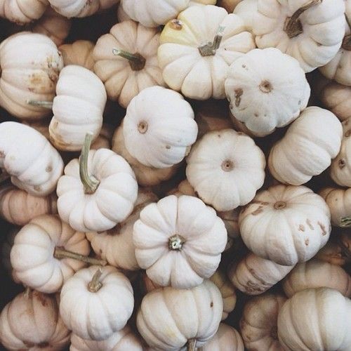 transition to fall white pumpkins