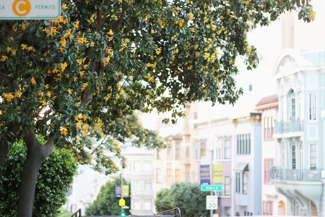 sanfrancisco19