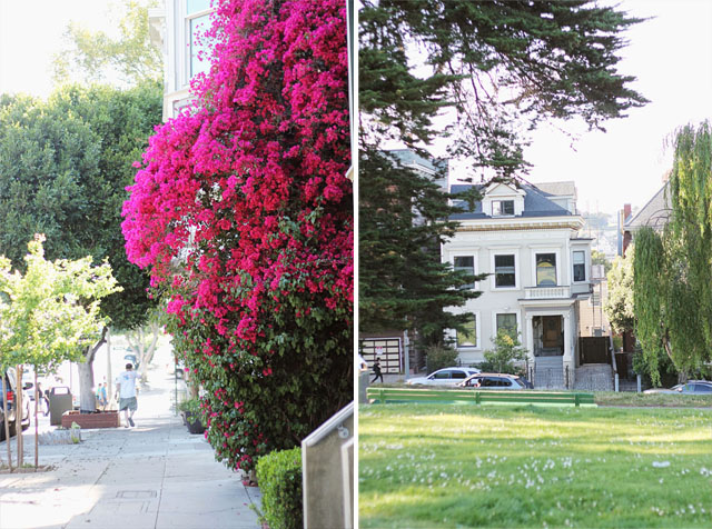 sanfranciscocollage2
