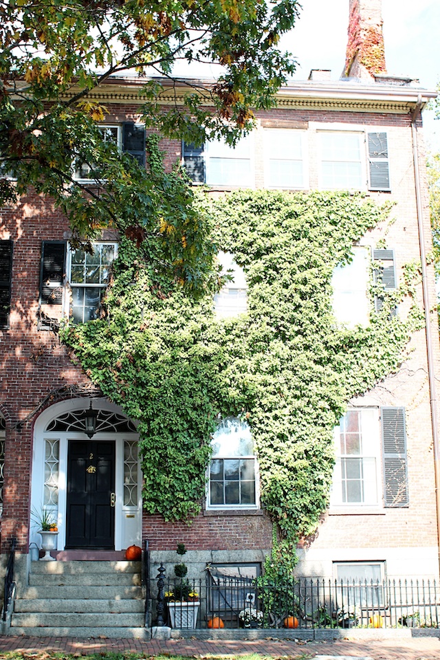 house with green ivy blog